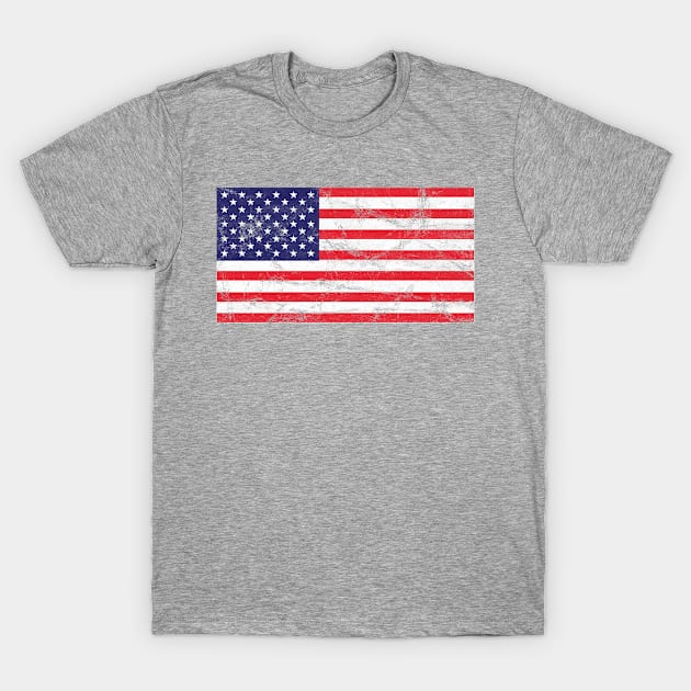 American Flag T-Shirt by SillyShirts